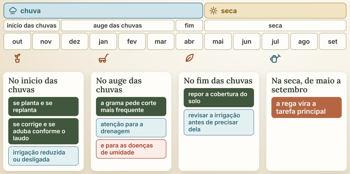 O ano do jardim no Cerrado: as duas estações, os quatro períodos e o que se faz em cada um