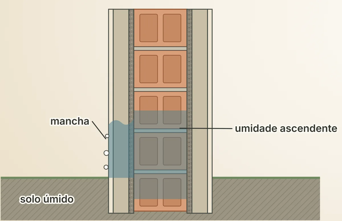 Uma parede em corte: a umidade do solo sobe pelo pé e a mancha aparece no revestimento