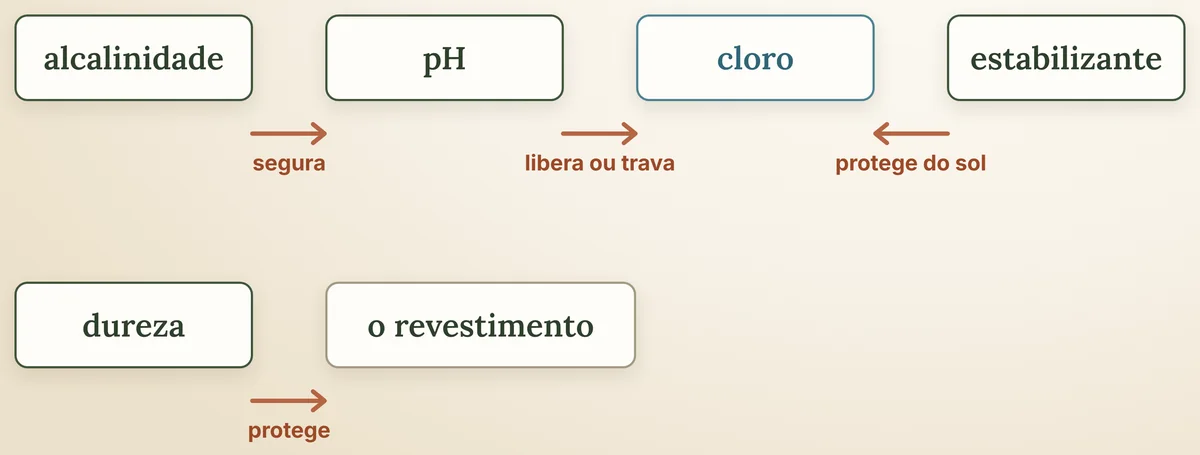 A alcalinidade segura o pH; o pH libera ou trava o cloro; o estabilizante protege o cloro do sol; a dureza protege o revestimento.