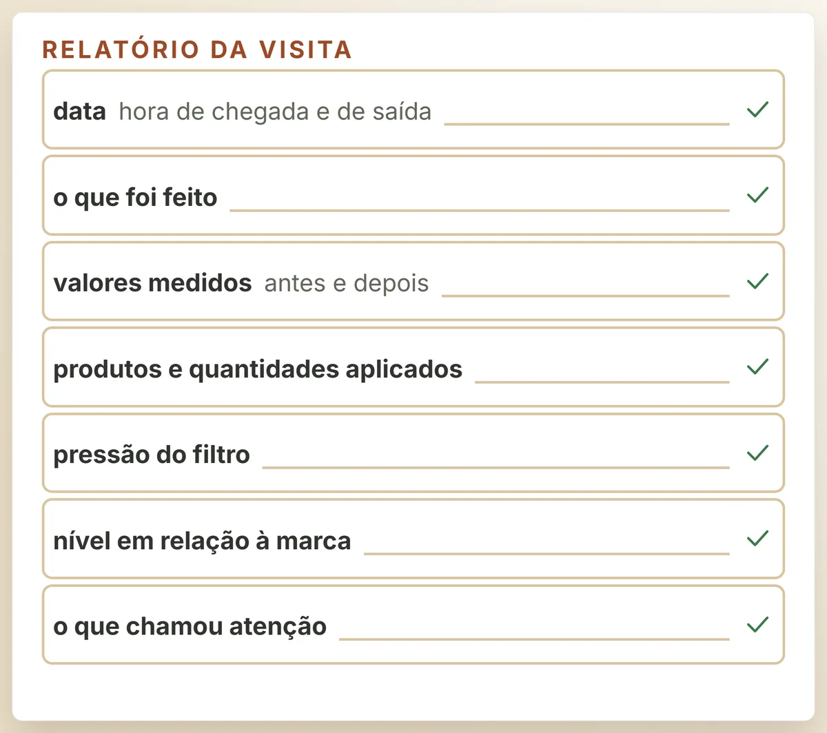 O relatório da visita, sempre no mesmo formato: uma linha para cada informação.